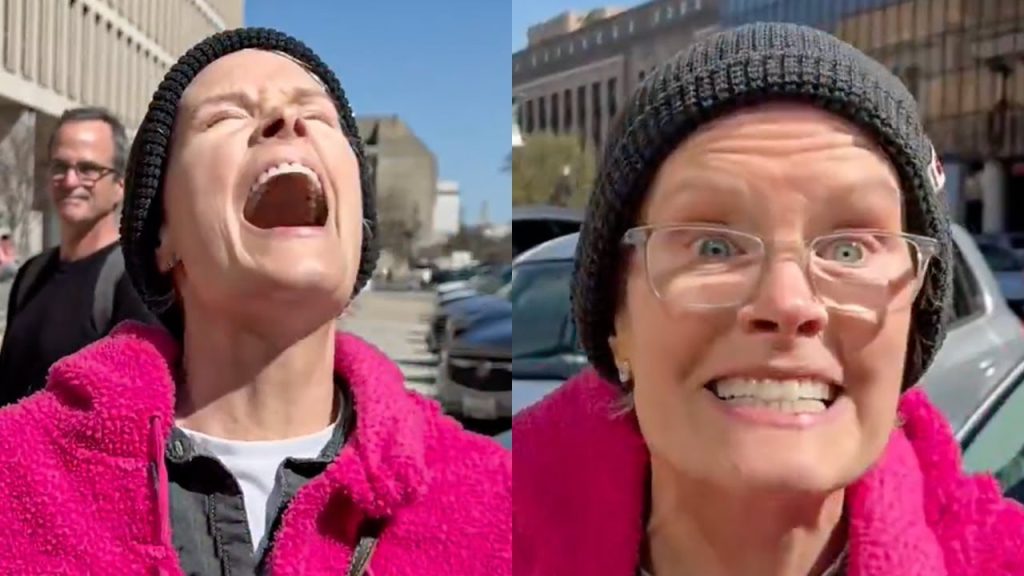 Protester Against Elon Musk Gets Destroyed By Reporter’s Question