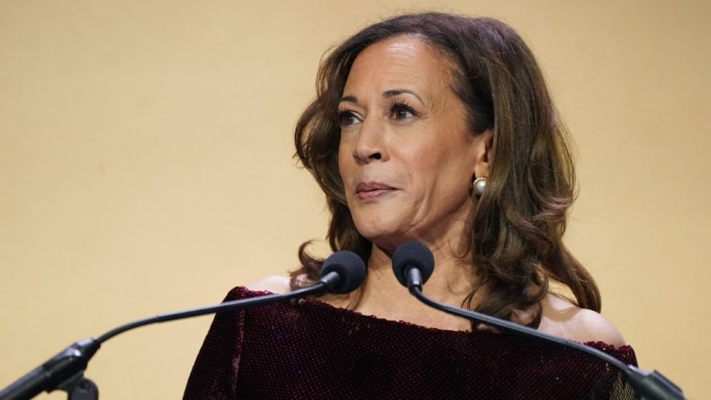 Incoherent Kamala Harris BRUTALLY  Roasted over Bizarre New Claims