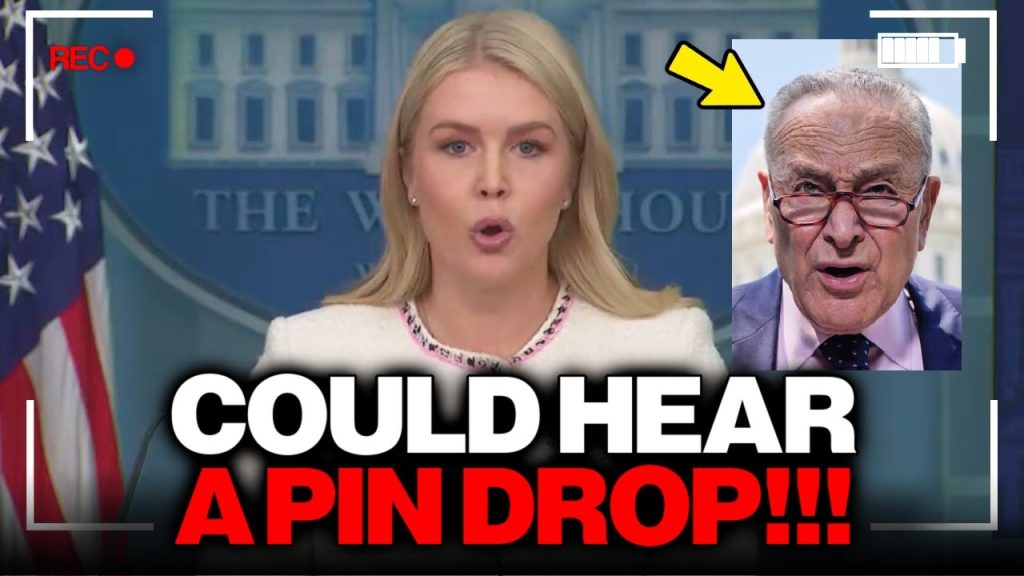 Press Goes Silent as Karoline Leavitt TORCHES Democrats