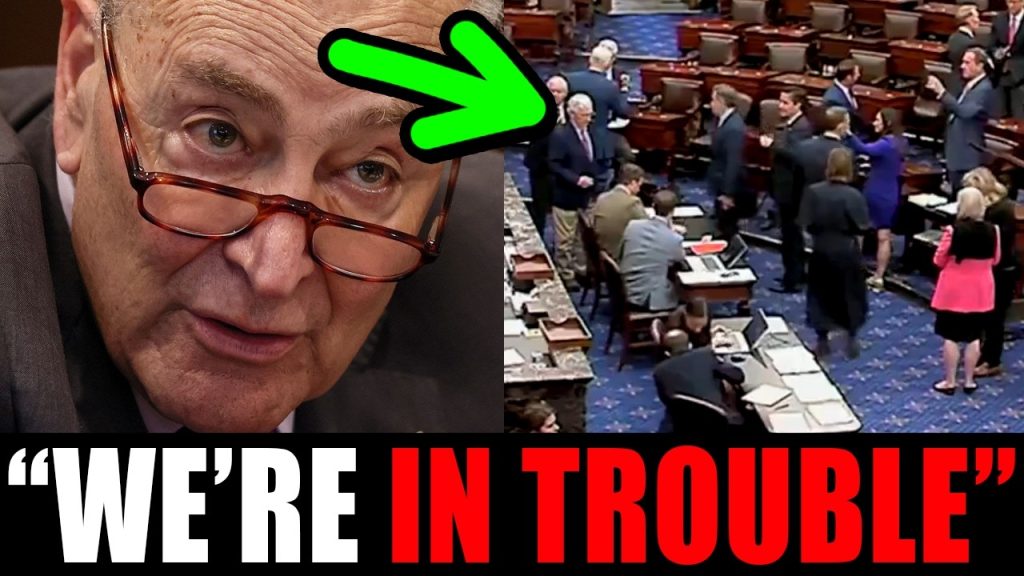 Dems in REVOLT as shutdown continues to devastate the PARTY!!! Dems in REVOLT as shutdown continues to devastate the PARTY!!!