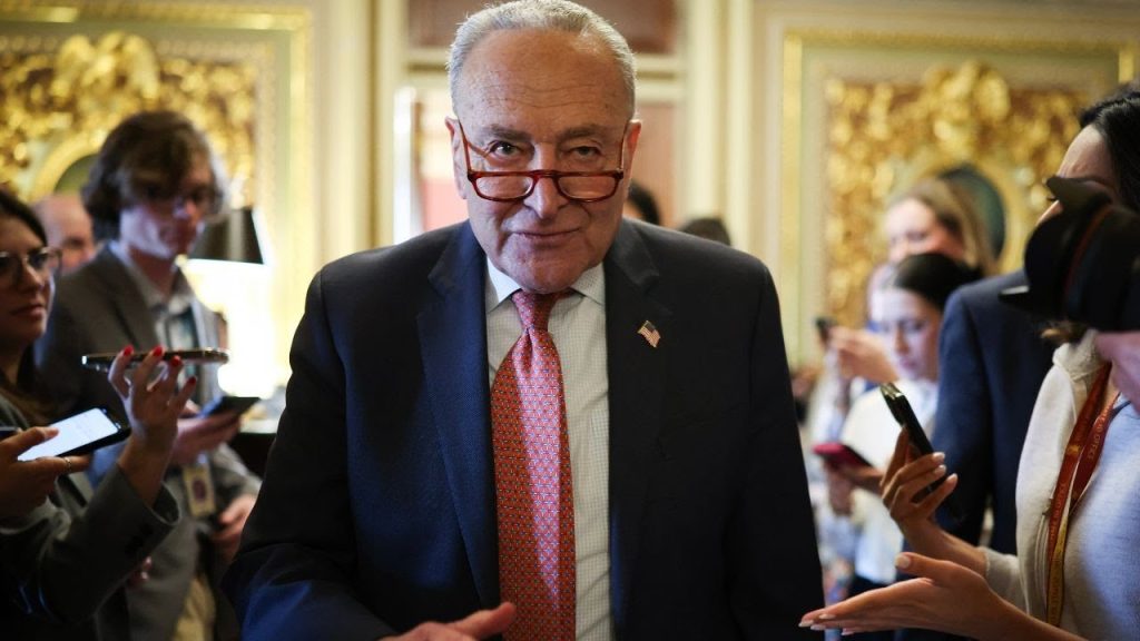 Humiliation – Schumer Just Got Roasted On Live TV