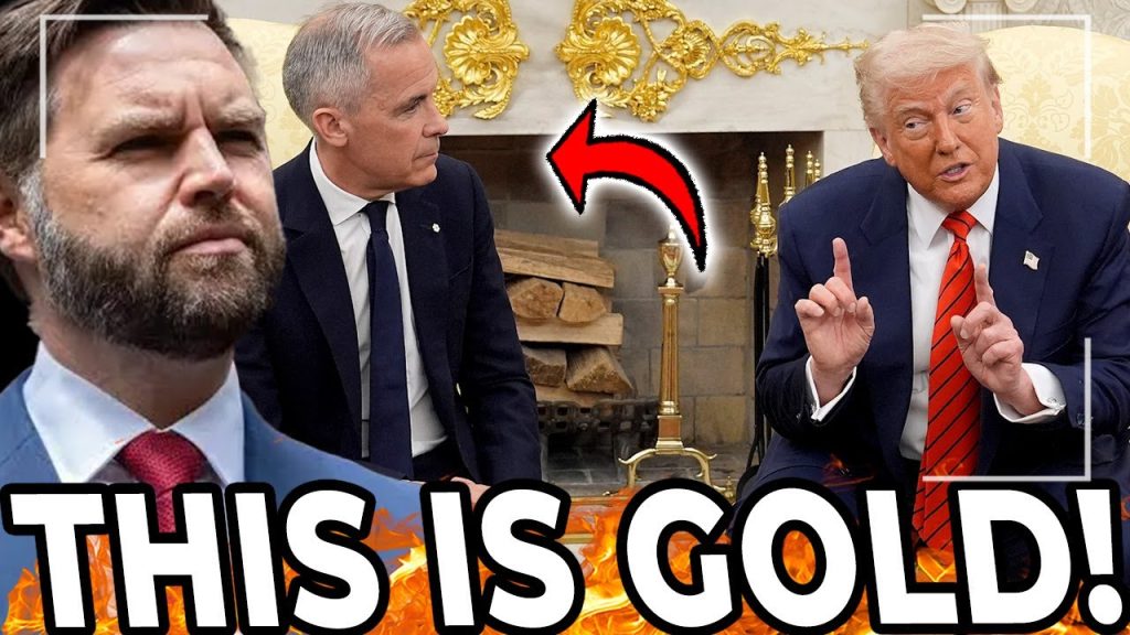 JD Vance Goes SCORTCHED EARTH On Woke Canada JD Vance Goes SCORTCHED EARTH On Woke Canada