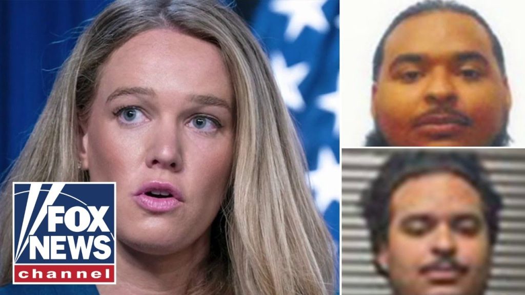 ‘SHOOT ICE ON SIGHT’: Twins charged in threats to kill DHS official