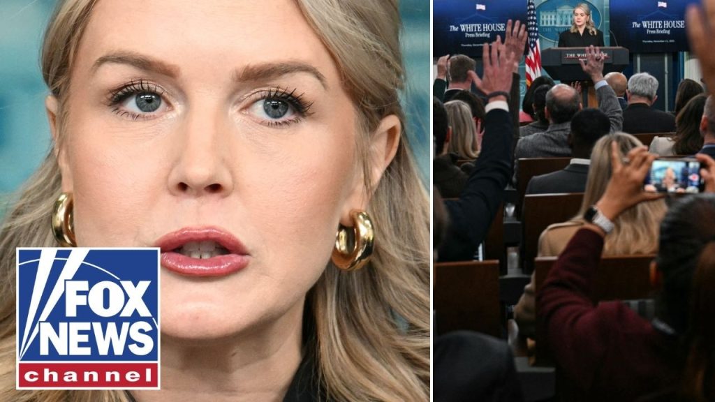 ‘UTTER LIES!’: Leavitt goes OFF on media’s reports ‘UTTER LIES!’: Leavitt goes OFF on media’s reports