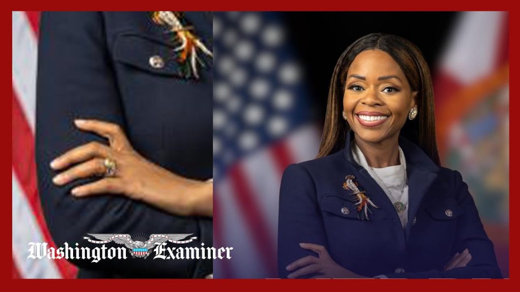 Indicted Dem edits 9K ring allegedly bought with stolen FEMA funds from photo