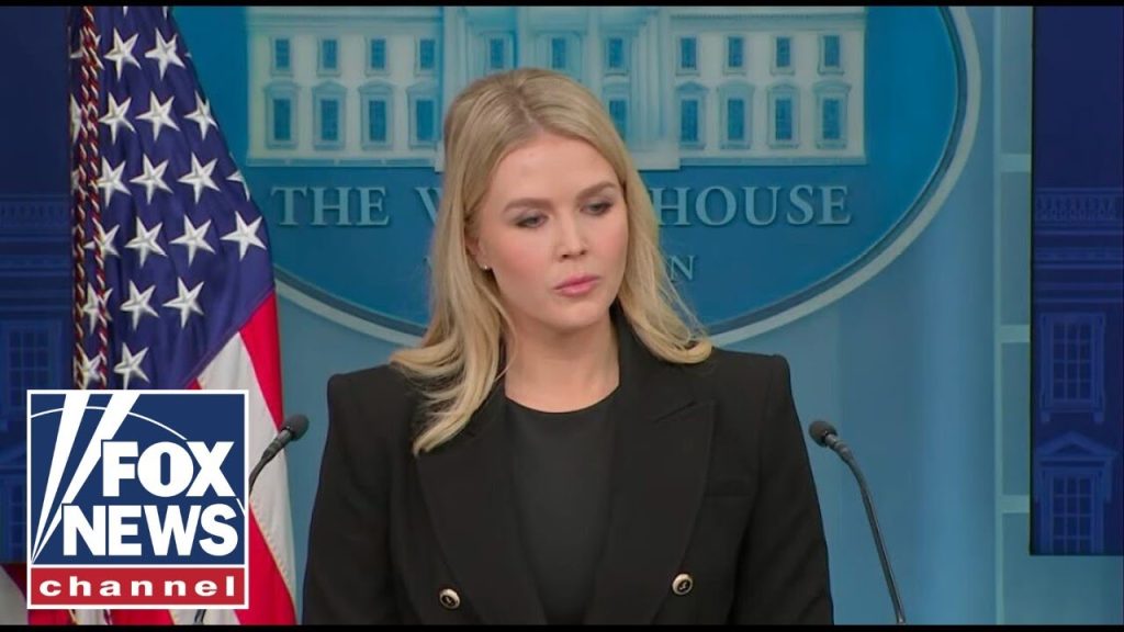 Leavitt goes scorched earth on left-wing reporter during fiery briefing