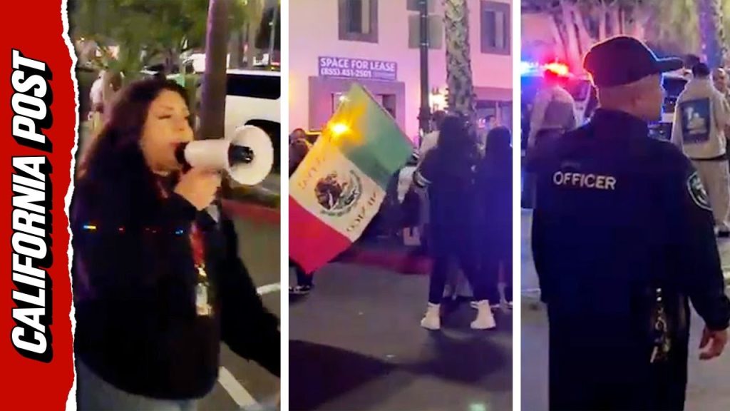 Air Marshals Forced to Flee After Mistaken for ICE Agents by LA Protesters