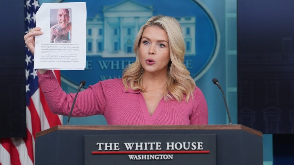 ‘Encouraged bloodshed’: Leavitt announces DHS arrest of anti-ICE Antifa member