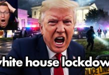 White House Under ATTACK?! DC Locked Down as Van BREAKS DOWN WH Gate…