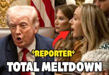 Reporter Has A Total Meltdown After Trump’s Brilliant Response