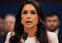 Tulsi Gabbard Drops Hammer – Criminal Charges