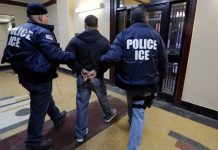 Elected Leader Arrested By ICE – Trump Was Right!