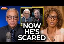 Fauci Humiliated as Elon Musk Responds w/ the Real reason He Plead the 5th